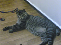 20070609.jpg