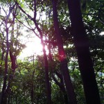 Photo 10月 12, 11 30 48